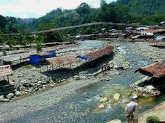 Bukit Lawang - Orang Utans - Sumatra